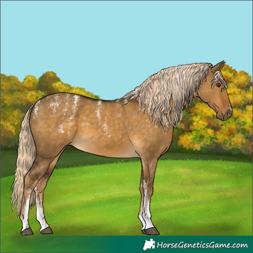 Horse Color:Powder White Chocolate Palomino Dun 