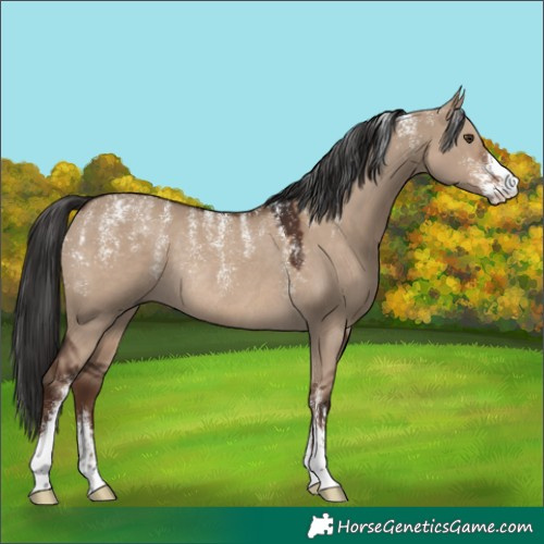Horse Color:Powder White Liver Red Dun Rabicano