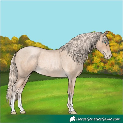 Horse Color:Chocolate Palomino Roan Pearl