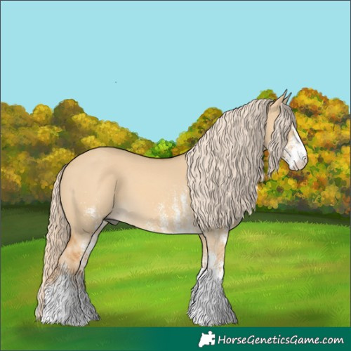 Horse Color:White Spotted Palomino Dun 