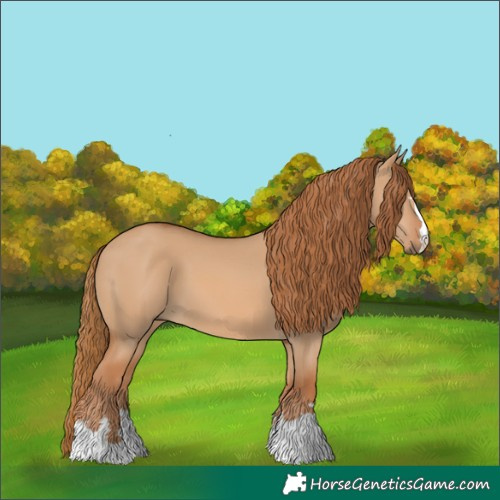 Horse Color:Red Dun 