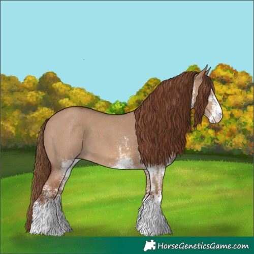 Horse Color:White Spotted Red Dun 