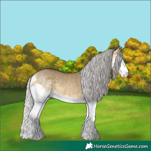 Horse Color:Silver Buckskin Dun Sabino Splash Rabicano 