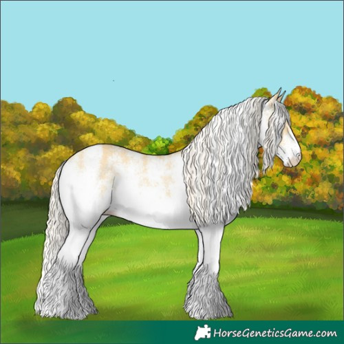 Horse Color:White Spotted Palomino Dun Varnish 