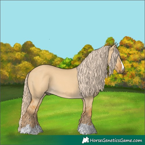 Horse Color:Palomino Dun 