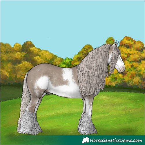 Horse Color:Silver Grullo Sabino Frame Rabicano 