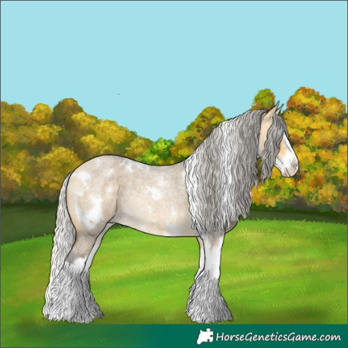 Horse Color:White Spotted Silver Buckskin Roan Dun Splash Rabicano 