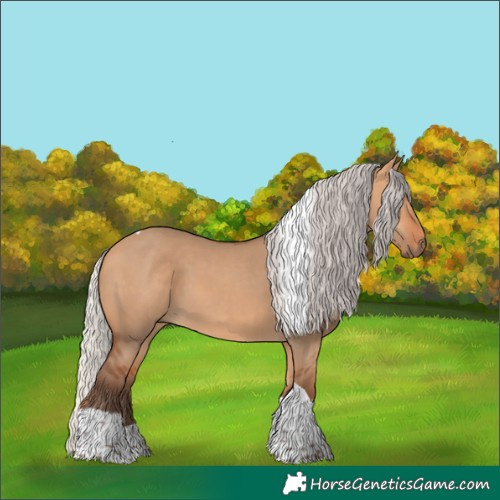 Horse Color:Silver Bay Dun Sabino Tobiano Rabicano