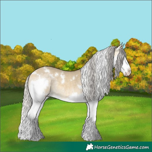 Horse Color:White Spotted Silver Buckskin Dun Splash Rabicano