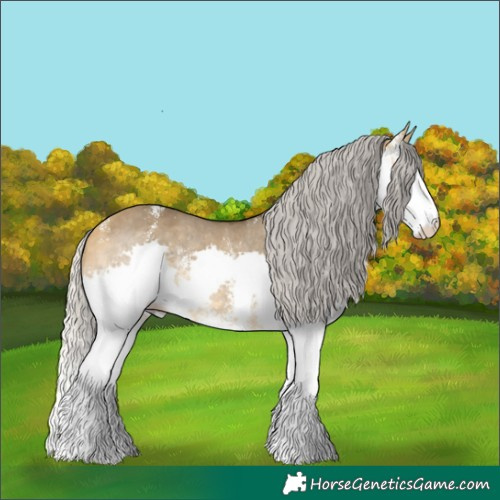 Horse Color:Silver Buckskin Dun Sabino Splash Rabicano