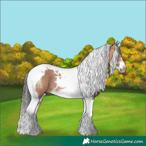 Horse Color:Powder White Bay Dun Splash Tobiano Frame Rabicano 