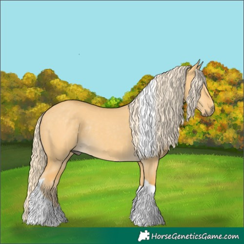 Horse Color:Palomino Dun Tobiano Rabicano 
