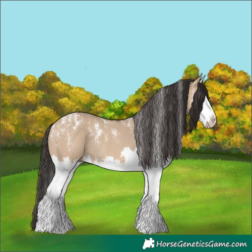 Horse Color:Powder White Bay Dun Splash Rabicano 