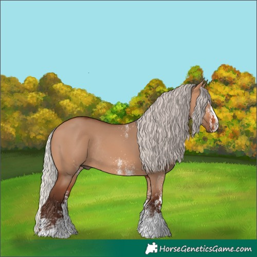 Horse Color:White Spotted Silver Bay Dun Rabicano 