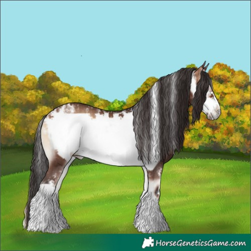 Horse Color:Powder White Brown Onyx Frame Rabicano 