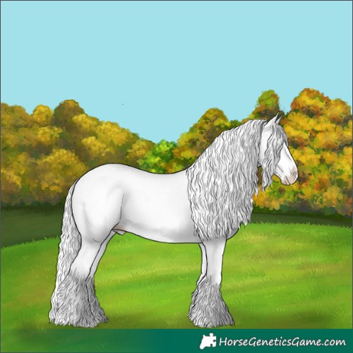 Horse Color:Cremello Dun Splash Tobiano Rabicano