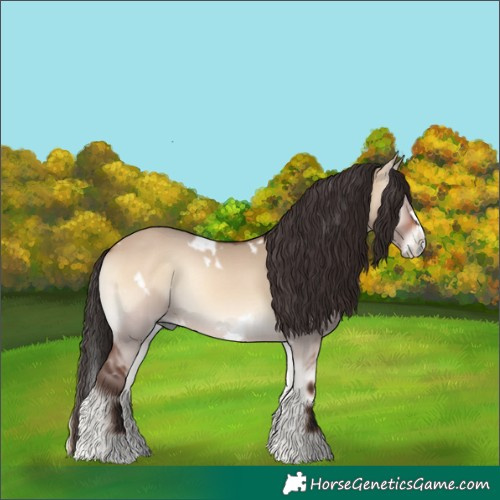 Horse Color:White Spotted Bay Onyx Splash Frame Rabicano 