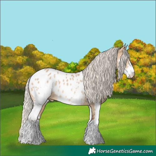 Horse Color:Silver Bay Dun Sabino Blanket Rabicano 