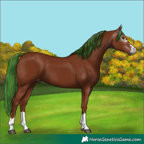 Horse Color:Gray Painted Chestnut Varnish