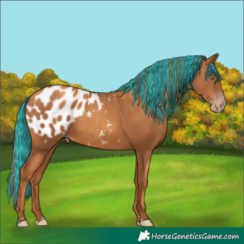 Horse Color:Gray Painted Gold Champagne Blanket 