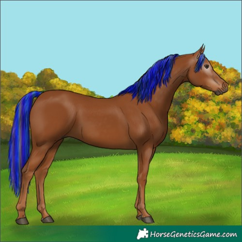 Horse Color:Gray Painted Chestnut 