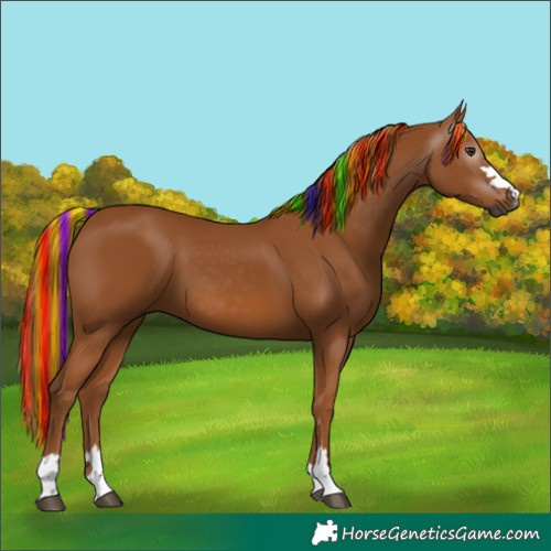 Horse Color:Gray Painted Chestnut