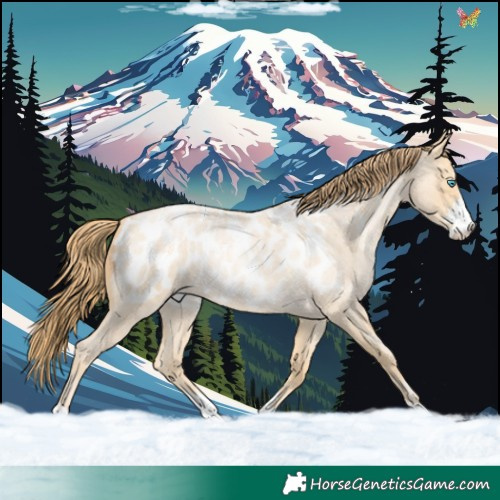 Horse Color:Buckskin Roan Pearl Sabino Appaloosa Rabicano