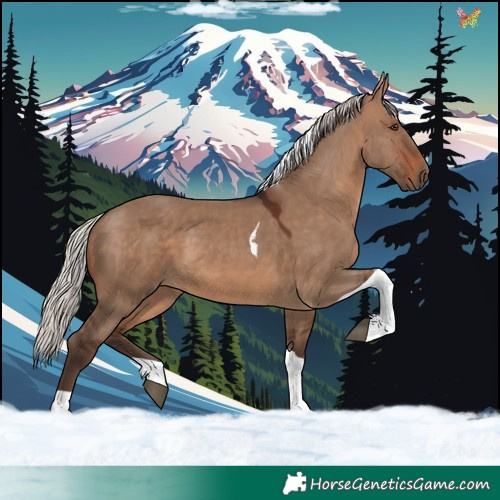 Horse Color:Silver Brown Dun Tobiano