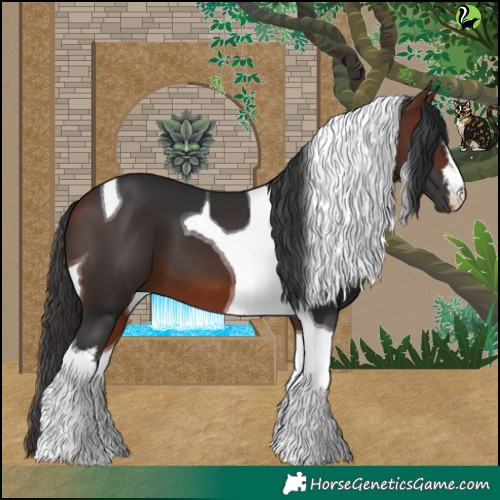Horse Color:White Spotted Brown Tobiano 