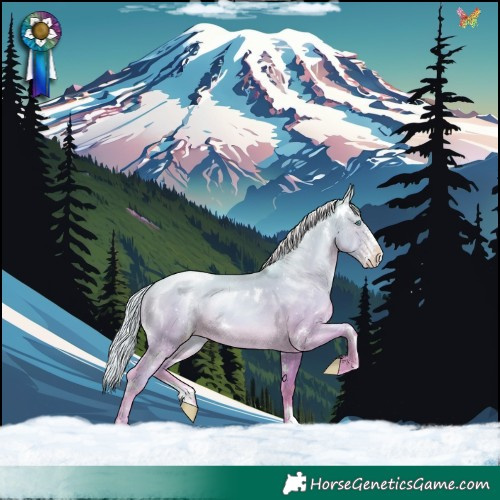 Horse Color:White Spotted Silver Sable Cream Champagne Pearl Dun Sabino Rabicano