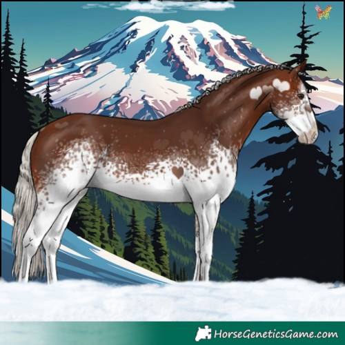 Horse Color:White Spotted Silver Brown Sabino 
