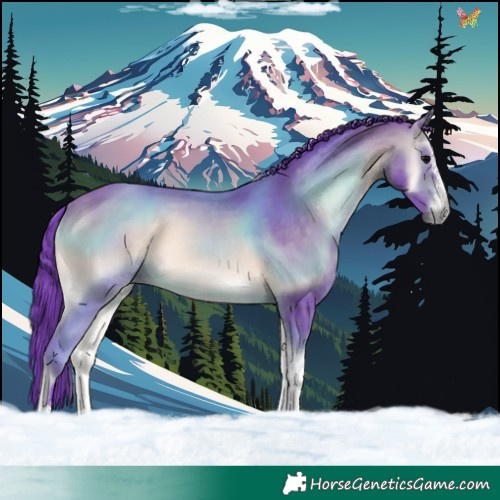 Horse Color:Watercolor Bay Onyx Sabino Tobiano