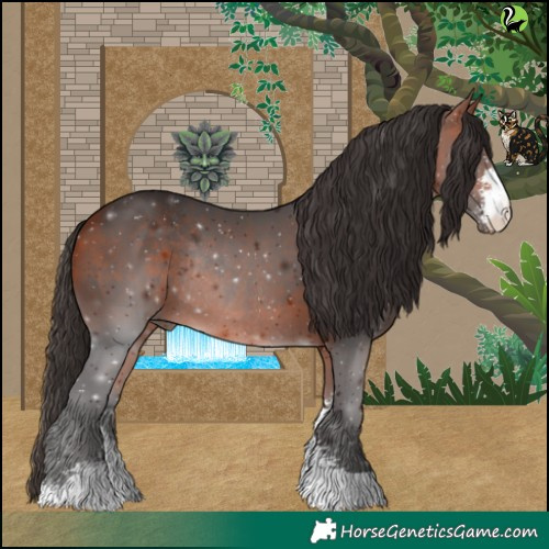 Horse Color:Bay Sabino Rabicano 