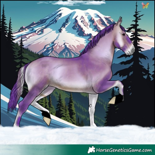 Horse Color:Watercolor Brown Onyx 