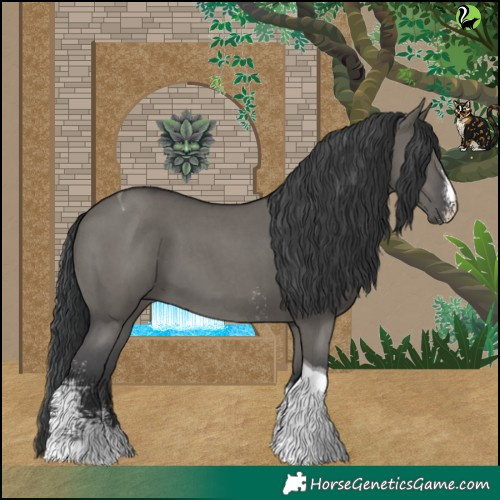 Horse Color:Grullo Sabino Tobiano 