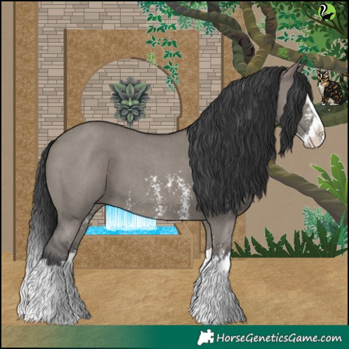 Horse Color:Grullo Sabino Splash