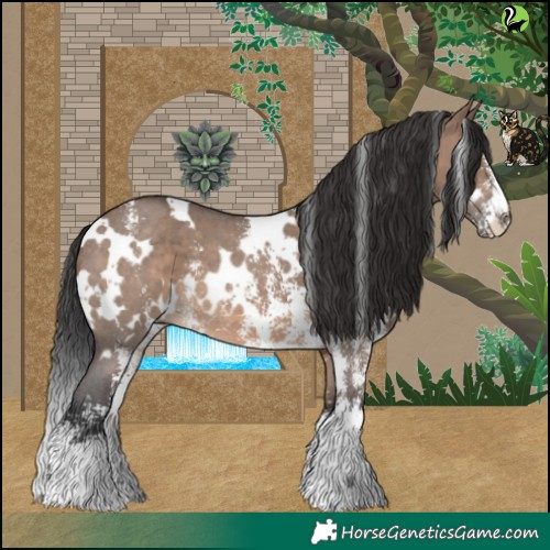Horse Color:White Spotted Brown Dun Sabino 