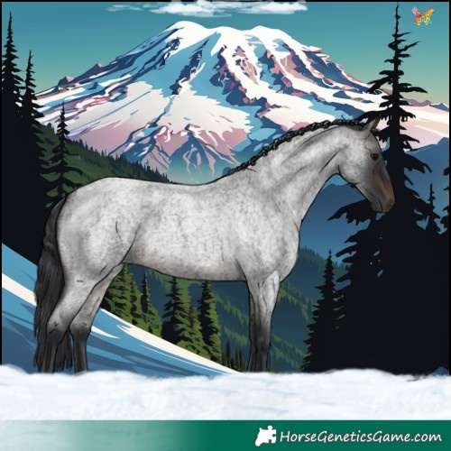Horse Color:Brown Roan