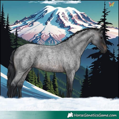 Horse Color:Brown Roan 