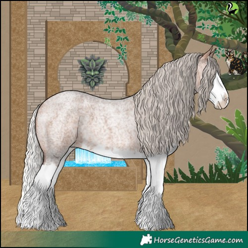 Horse Color:Silver Brown Roan Splash 