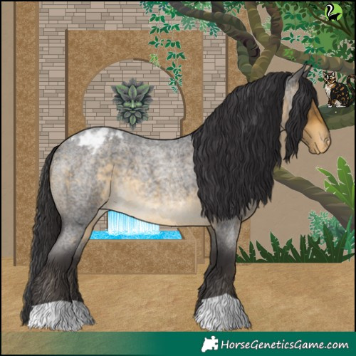Horse Color:Buckskin Roan Varnish 