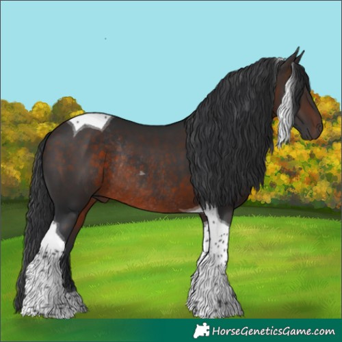 Horse Color:Brown Tobiano Rabicano 