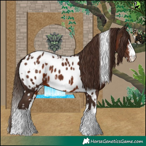 Horse Color:White Spotted Liver Chestnut Appaloosa