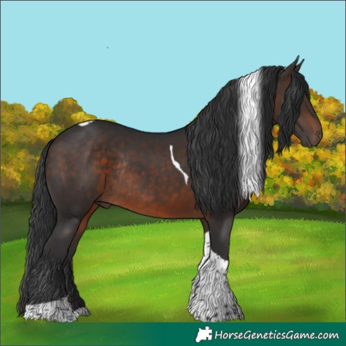 Horse Color:Brown Tobiano Rabicano