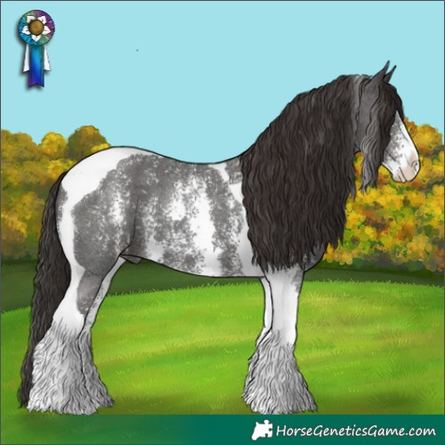 Horse Color:Liver Chestnut Sabino Tobiano