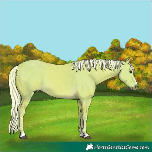 Horse Color:Watercolor Palomino 