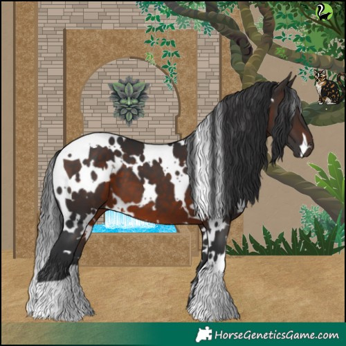 Horse Color:White Spotted Brown 
