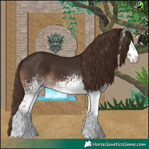 Horse Color:White Spotted Liver Chestnut 