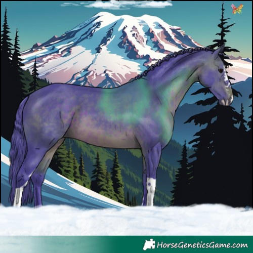 Horse Color:Watercolor White Spotted Brown Splash Tobiano 