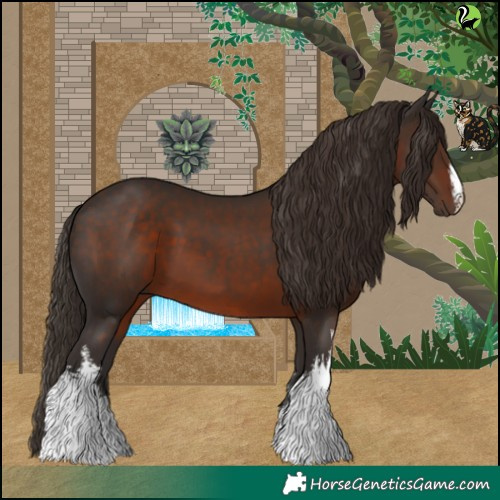 Horse Color:White Spotted Liver Chestnut